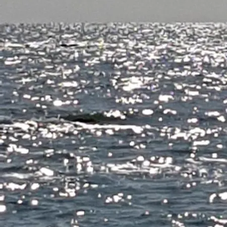 ベッド・アンド・ブレックファスト La Casa Di Isabella ロレート