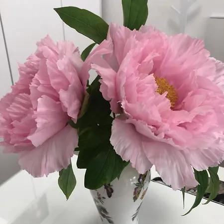 La Casa Di Isabella ベッド・アンド・ブレックファスト ロレート