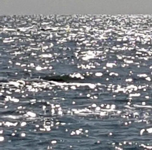 Bed and Breakfast La Casa Di Isabella Λορέτο